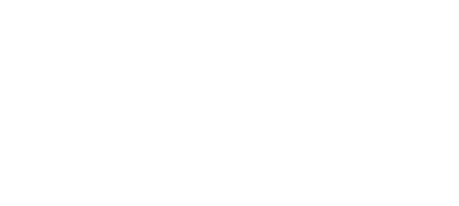 Federación Nacional de Sindicatos Independientes — FNSI